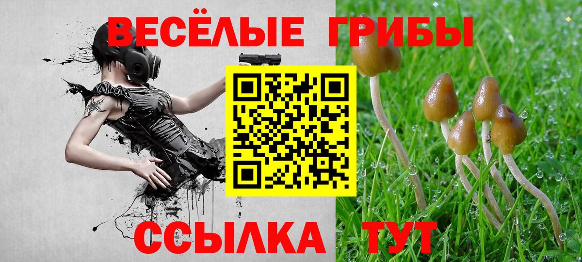 Галлюциногенные грибы Psilocybe  Вход с VPN  Бугульма 
