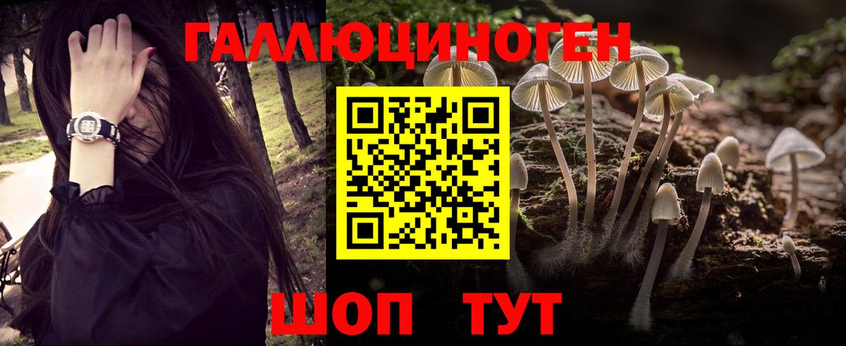 Псилоцибиновые грибы прущие грибы Бугульма