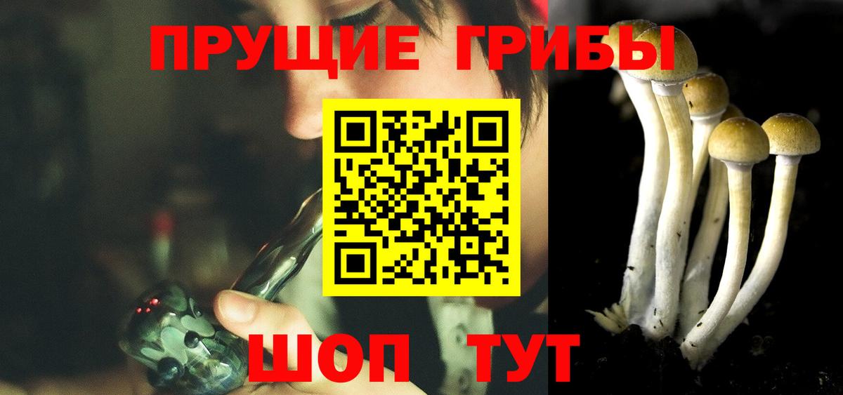 Псилоцибиновые грибы GOLDEN TEACHER  сколько стоит  Бугульма 