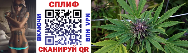 продажа наркотиков  Бугульма  Шишки марихуана ГИДРОПОН 
